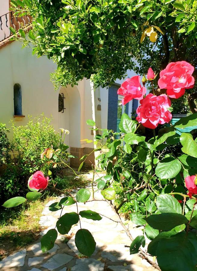 Studio Au Calme Tout Confort Proche Des Plages - Jardin Wifi Parking Fréjus المظهر الخارجي الصورة